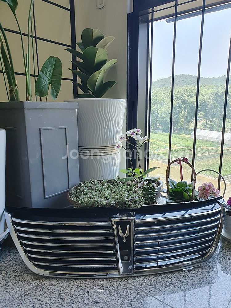 신형에쿠스리무진 ㅡ 가로그릴 VL500--0